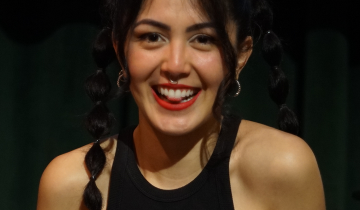 meu primeiro álbum profissional 