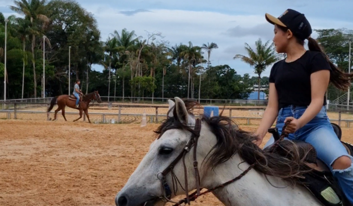 Cavalo da Sol