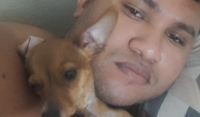 Ajudar cachorros de rua.