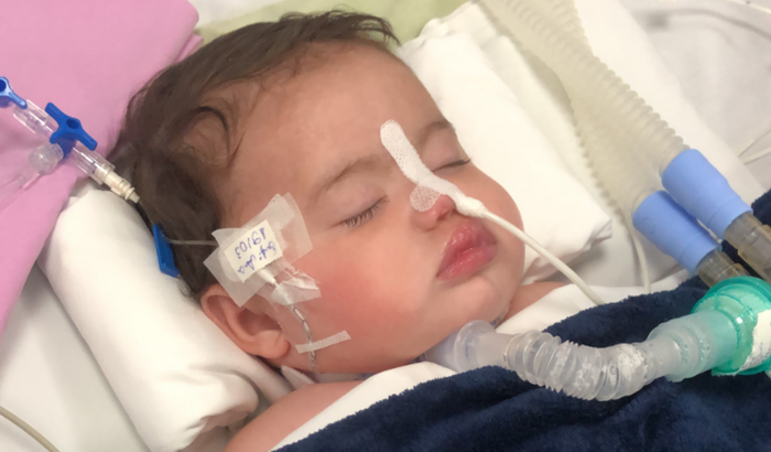 Ajude nossa princesa Heloisa ir para casa 