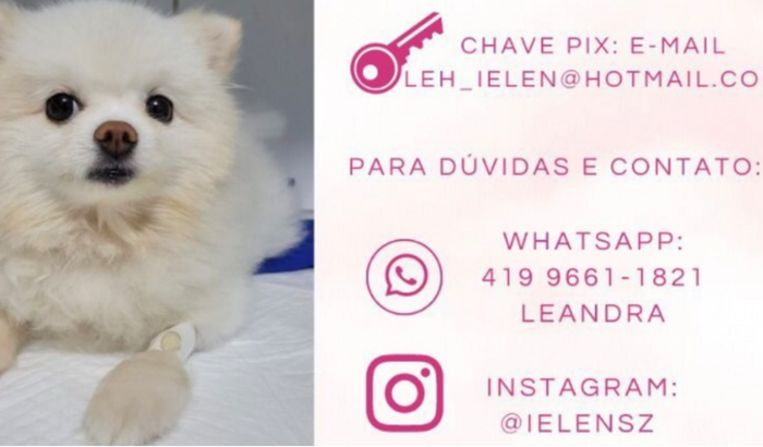 AJUDA PARA TRATAMENTO DA MARRY