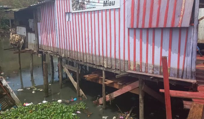 Ajude o abrigo anjo miau dog. Comprar madeira e fazer maromba e proteger os animais da água do Igarapé