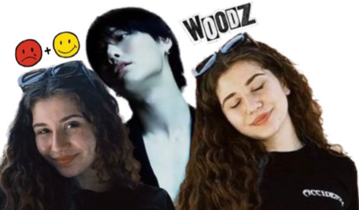 Ajude a Mellanie ir no show do Woodz