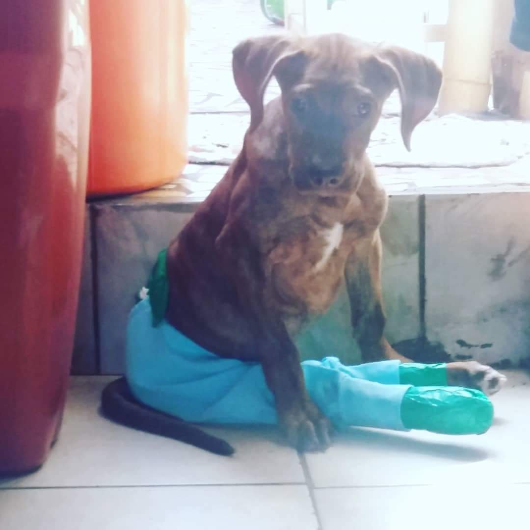 Ajuda ao BARU