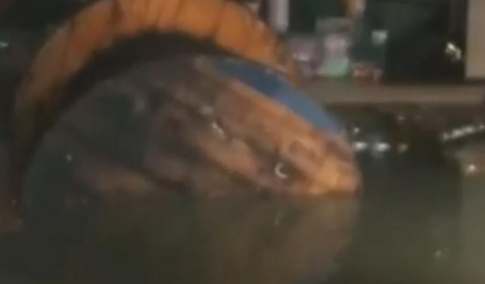 Nos ajude a reerguer nosso comércio 