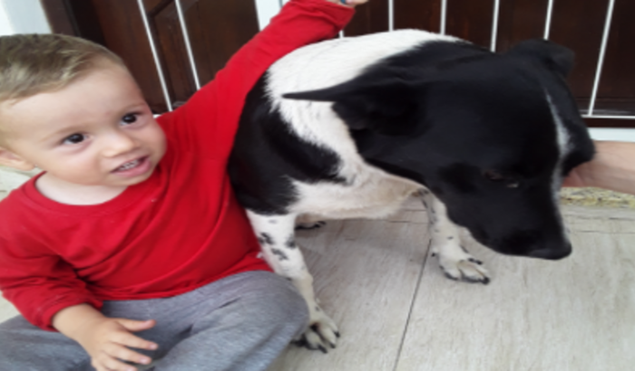 Medicação controlada e tratamento 