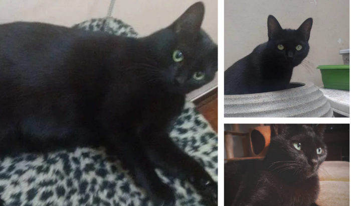 Exames Cirurgia e Tratamento Madona