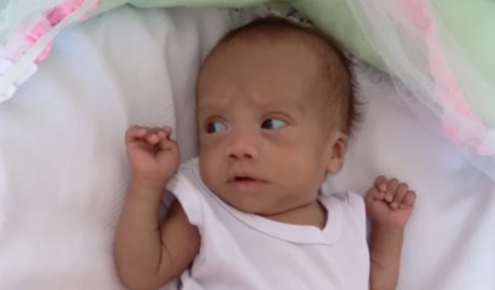 Ajude Fernanda Gabriele