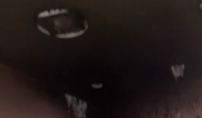 Ajudar a Bella a arrumar um espaço 