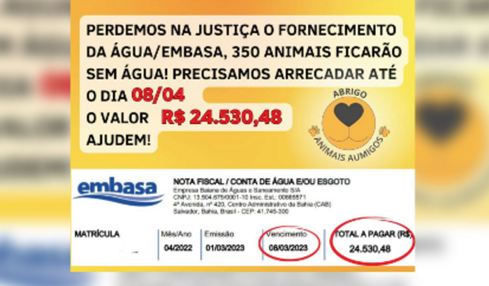 ABRIGO ANIMAIS AUMIGOS CORRE RISCO DE FICAR SEM FORNECIMENTO DE ÁGUA