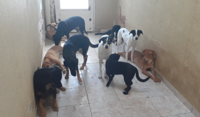 🥰Ajuda para a Penélope 