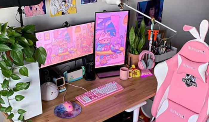 Montar um SETUP para fazer Lives 