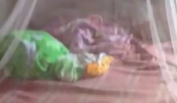 Ajuda a comprar leite 