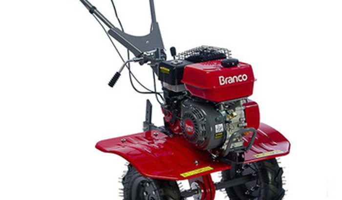 Sonho para danikarla🌼