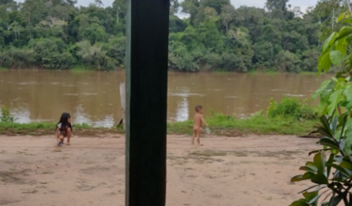 1. Estou Precisando de ajuda urgente