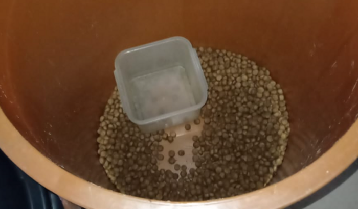 Ajude Nina e os Gatinhos a Comer