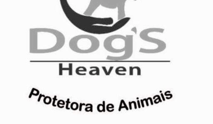 Junt@s pela Dog's Heaven