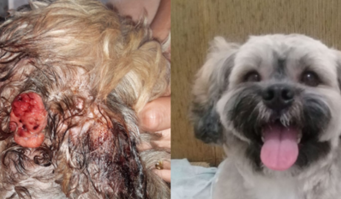 Ajude Marley no seu tratamento de câncer