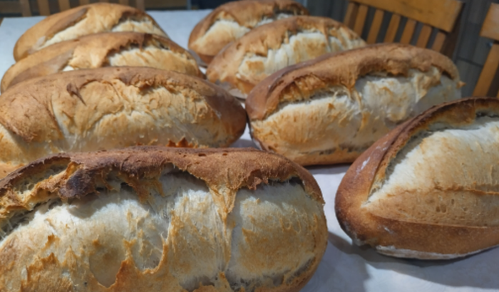 Ajuda para montar padaria caseira