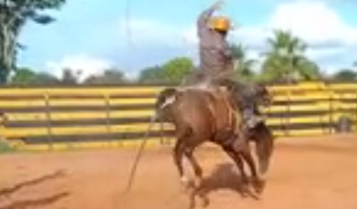 Construção da arena de rodeio  