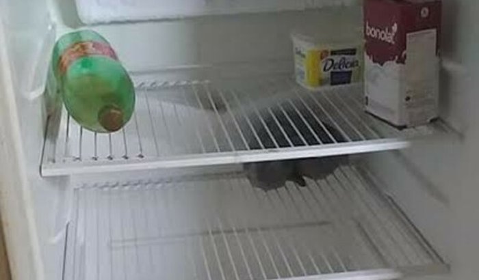 FAMÍLIA PASSANDO NECESSIDADES 