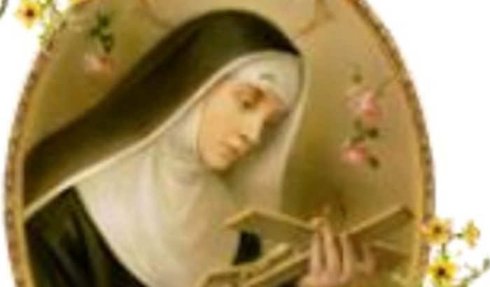 Rosas para Festa Santa Rita de Cássia da Capela da Enseada/Ubatuba