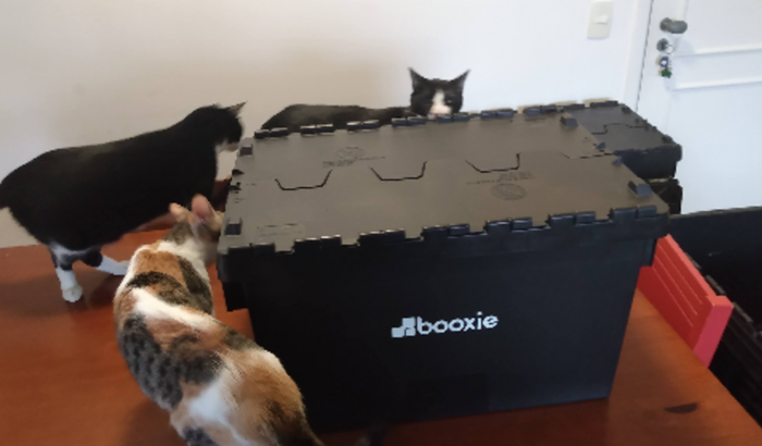 Ajuda com a mudança