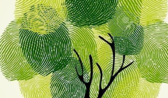 Me ajudem a comprar meus materiais escolares?