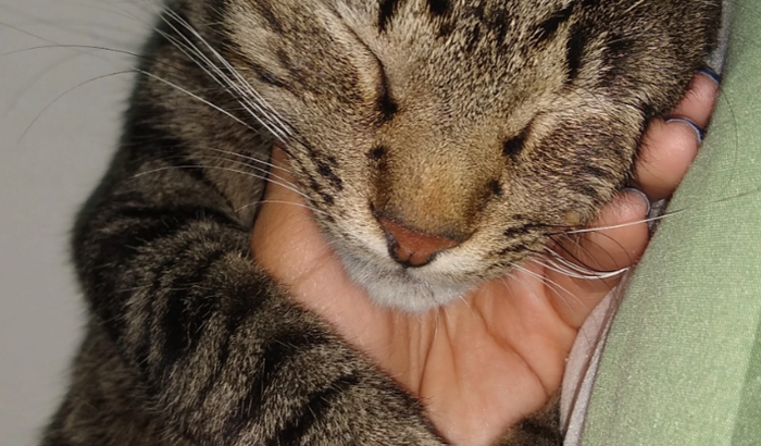 Tratamento Marquinho