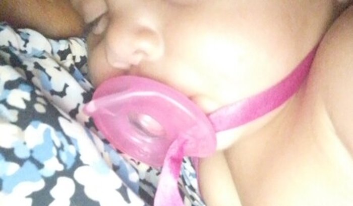  De volta pra minha terra 