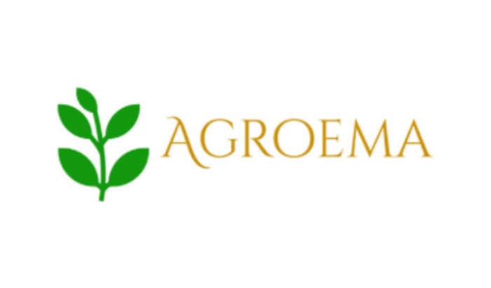 Ajuda para pagar as dívidas da nossa empresa!