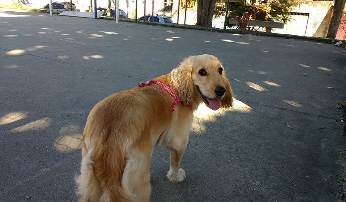 Pedido de Socorro para Branquinha