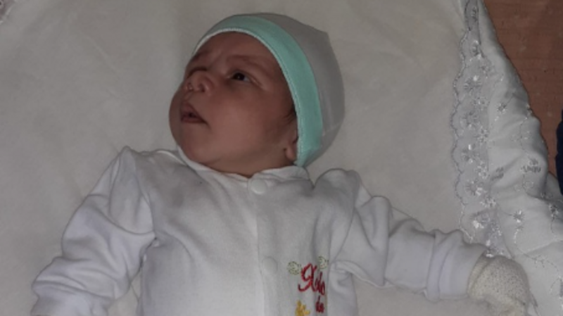 Vaquinha da precisão 