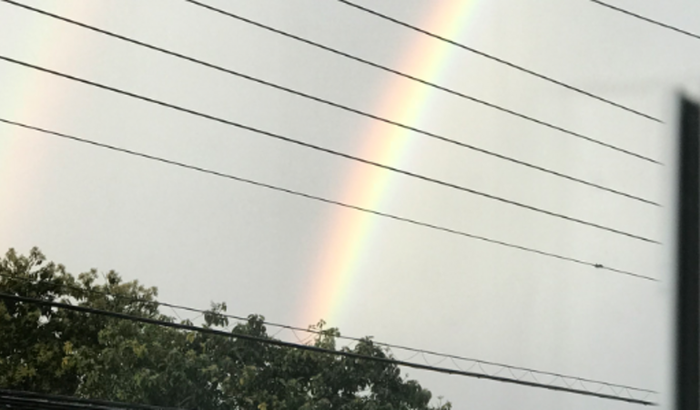 Me ajude a publicar um poema no livro Poesia Livre 2023 🫶🏻 