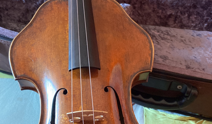 Concerto da Viola Iizuka 