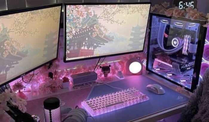 Me ajudem a montar meu pc e se tornar uma nova alanzoka