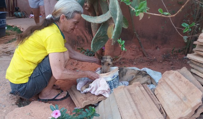 BELINHA PRECISA DE AJUDA