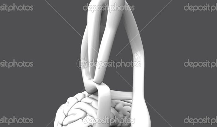 Projeto integração em acessibilidade e inclusão digital pcds 