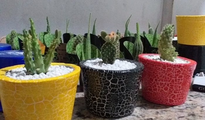 Comprar material pra recomeçar a fazer meus vasos de plantas 