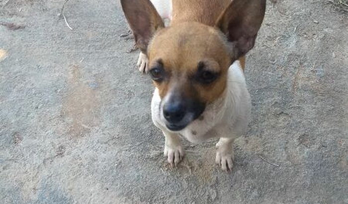 Me ajude no meu tratamento de pele 🥺