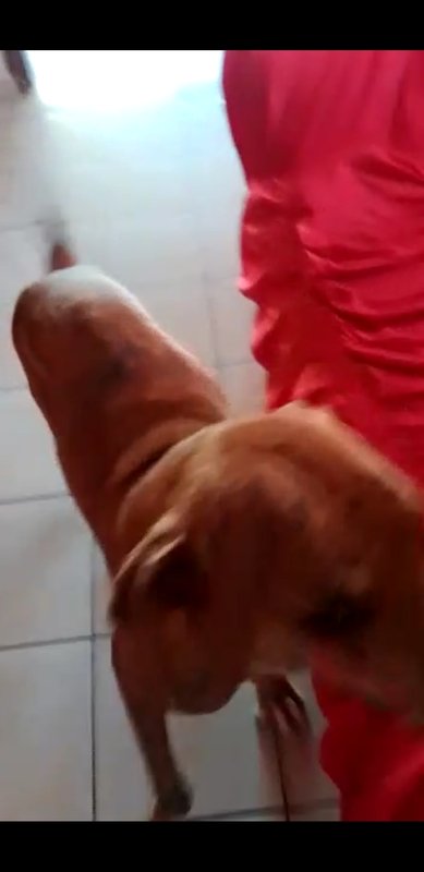Ajuda para Thor 