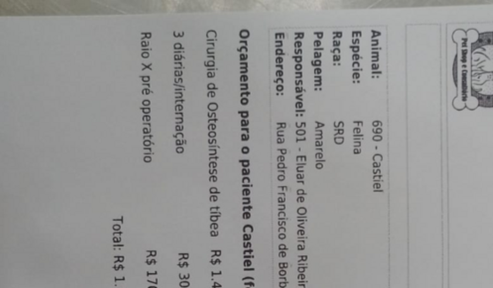 Cirurgia da Patinha do Nosso Castiel