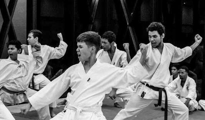 AJUDE A TURMA DE KARATÊ WKDOJO!