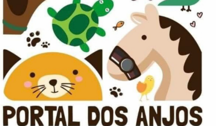Ajuda para comprar ração para os cães e gatos da ONG Portal dos Anjos em Conchal SP