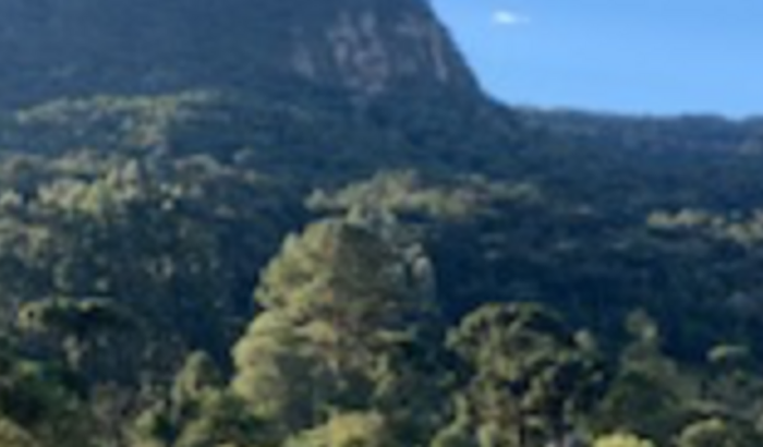 Transforme minha carreira: apoie minha vaquinha virtual