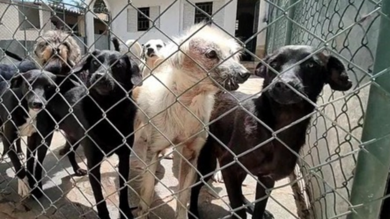 Muitas demandas, poucos recursos.