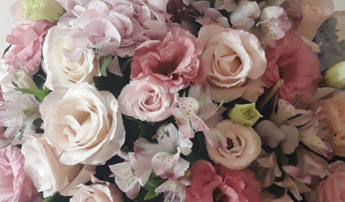 Nos ajude a montar nossa material de trabalho