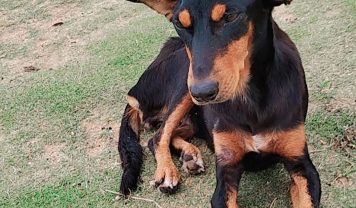 Lar Solidário Dona Lucinha 