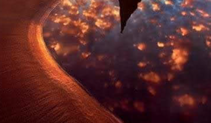 Procuro investidor espiritualistas  "Tudistas"