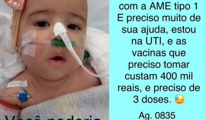 Anjo melissa